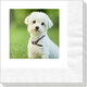 Design Your Own Full Color Photo Napkins Image 3 of 5